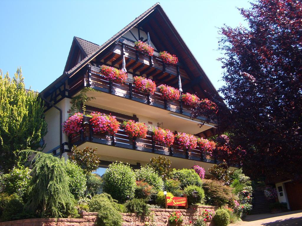Schneider Guest house 3*