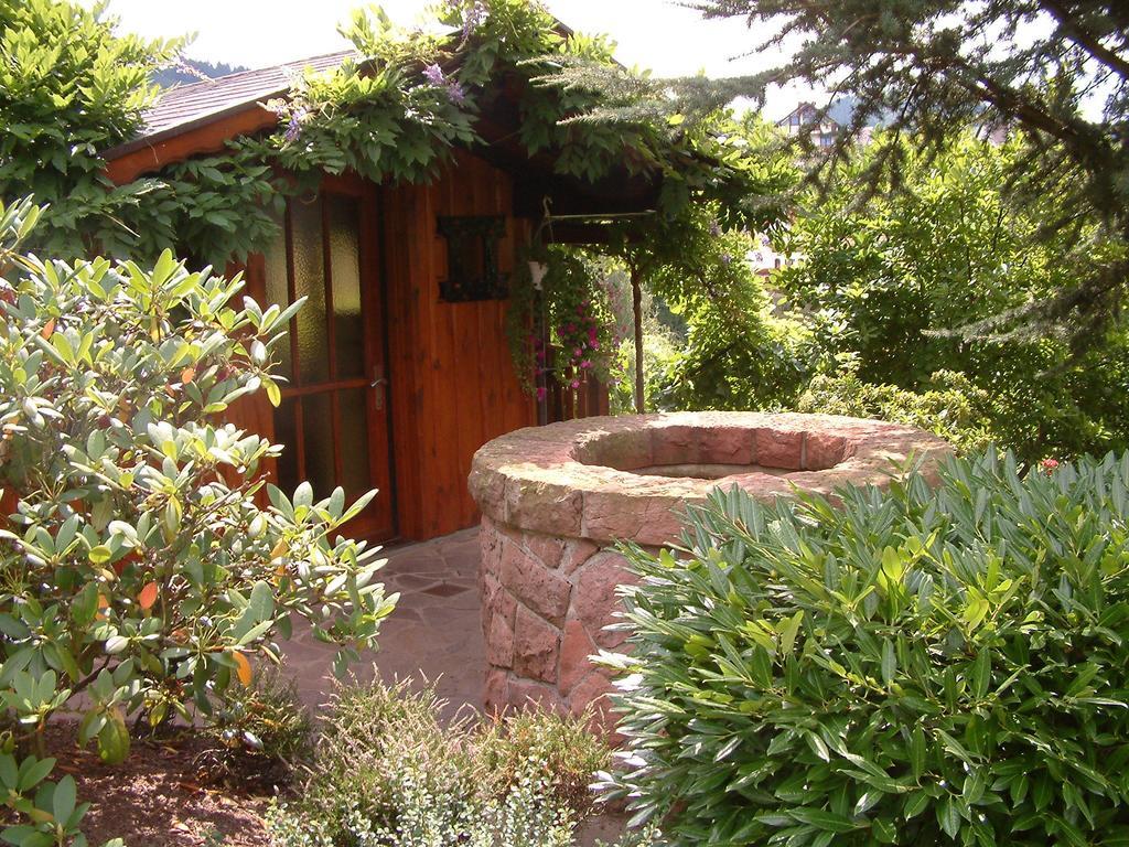 Schneider 3* Sasbachwalden