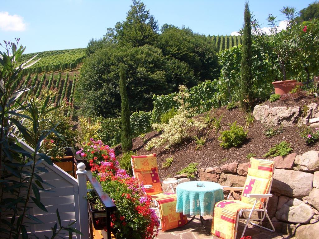 Guest house Schneider 3*
