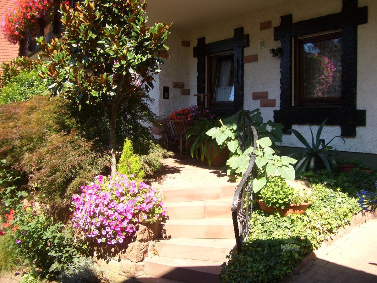 Schneider Guest house